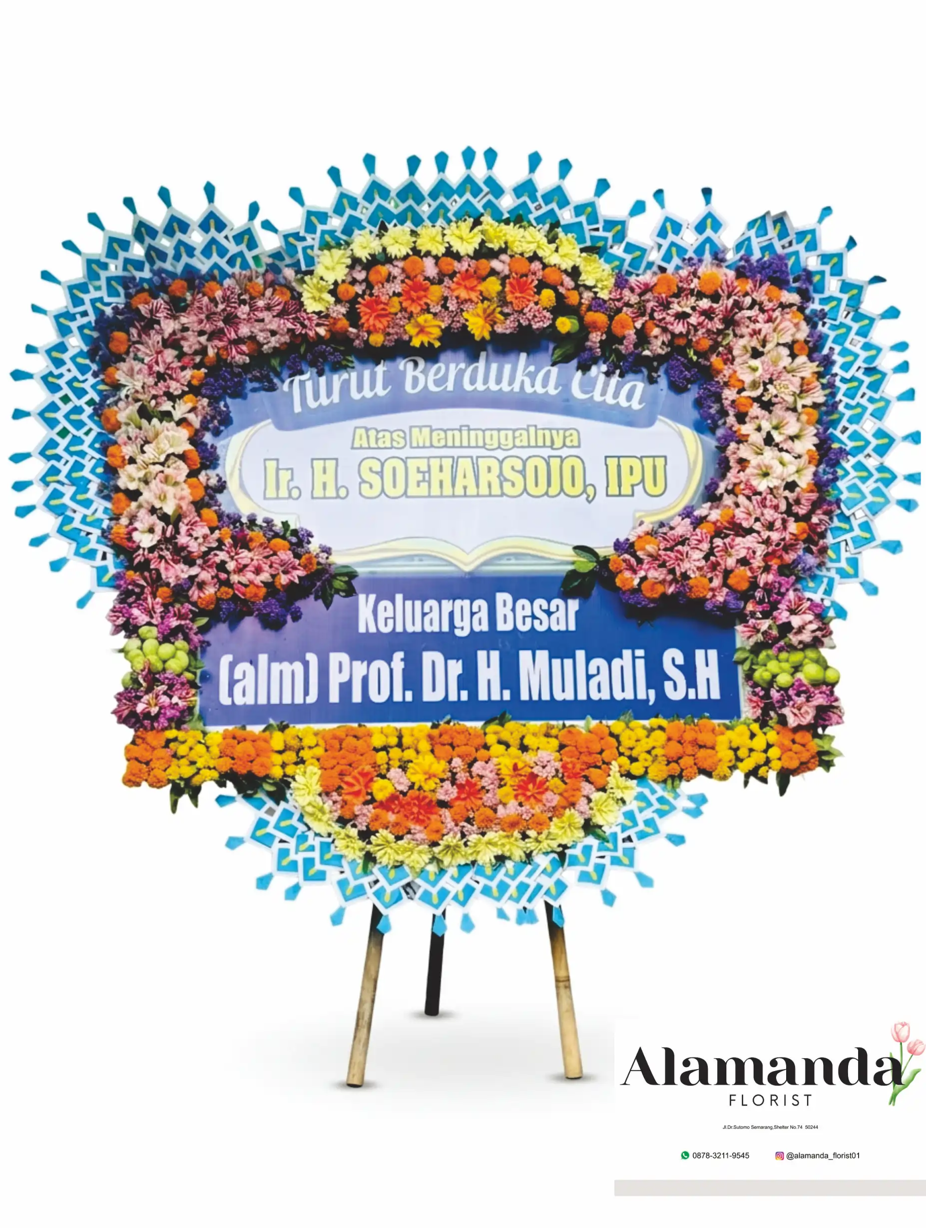 Bunga Papan