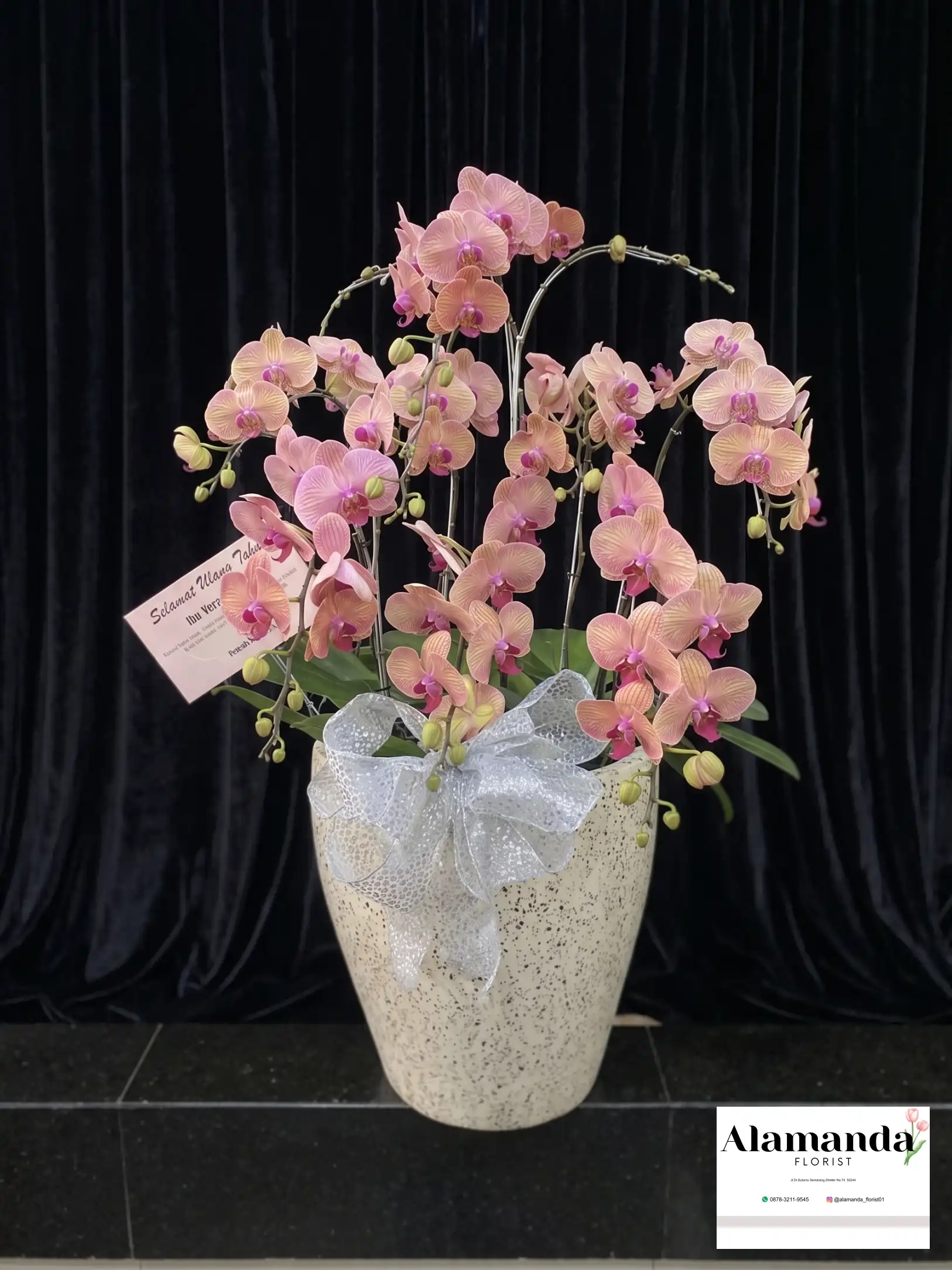 Orchids