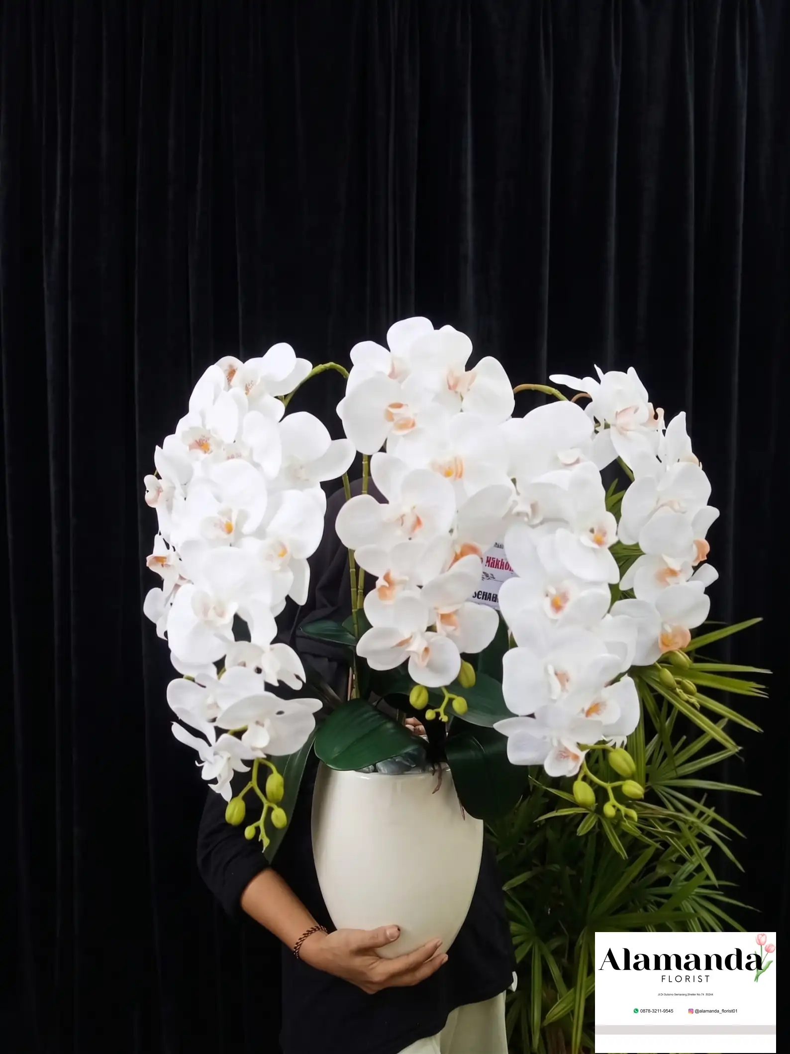 Orchids