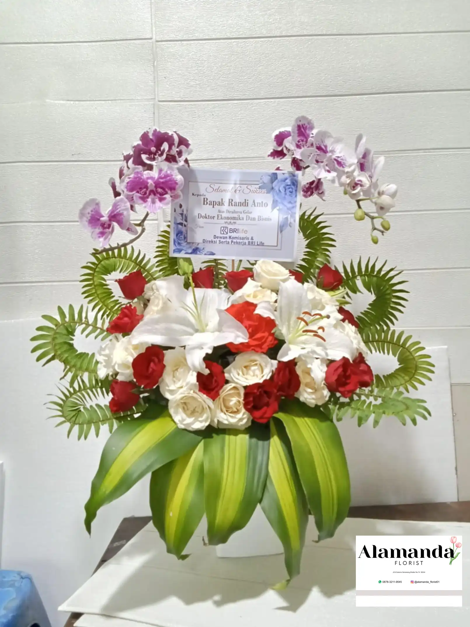 Orchids